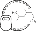 Тип каркаса и состав резины